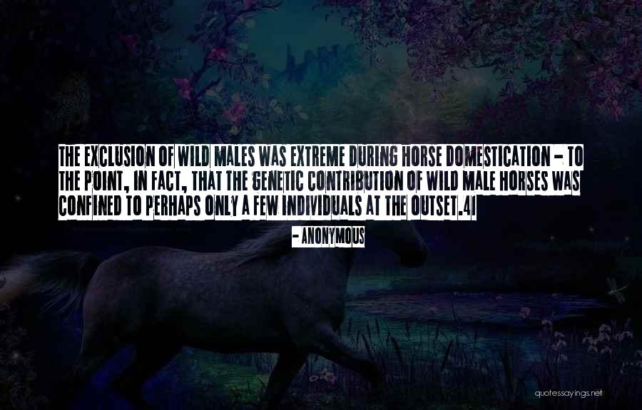 Bassem Elhassan Quotes By Anonymous Bassem Elhassan Quotes By Anonymous