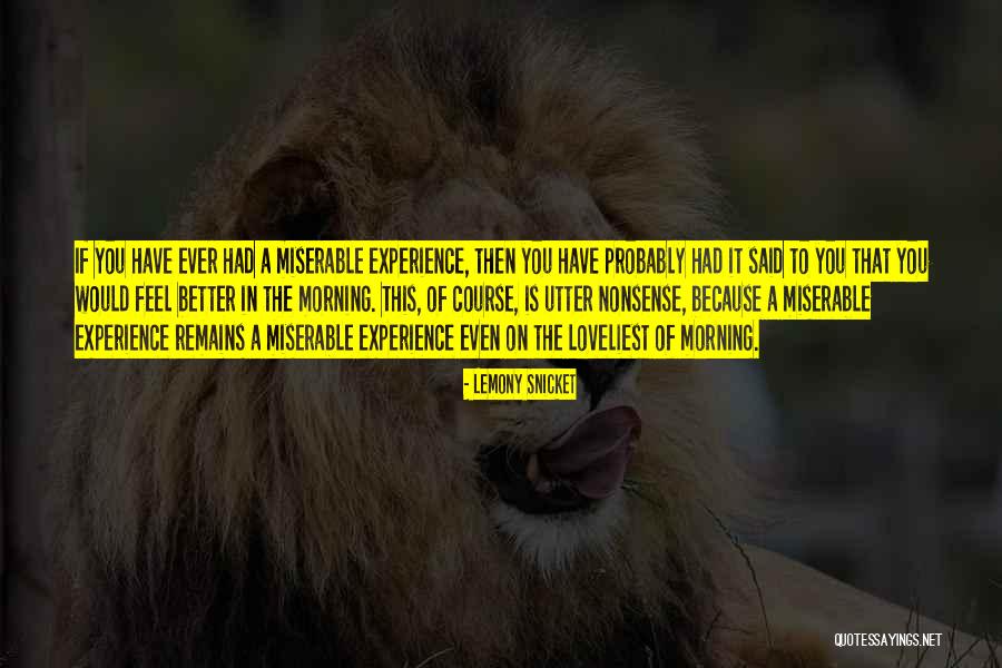 Bassinova Quotes By Lemony Snicket Bassinova Quotes By Lemony Snicket