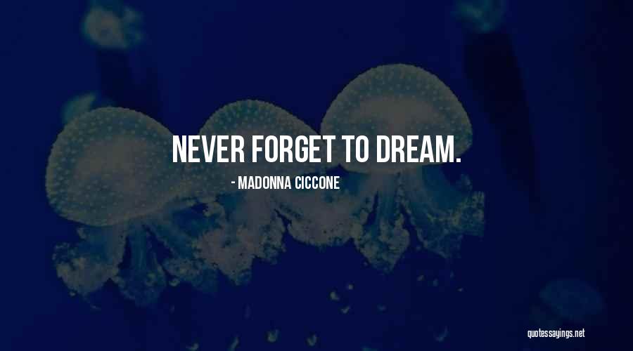 Basslet Saltwater Quotes By Madonna Ciccone