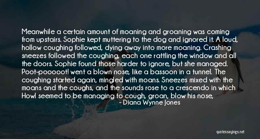 Bassoon Quotes By Diana Wynne Jones