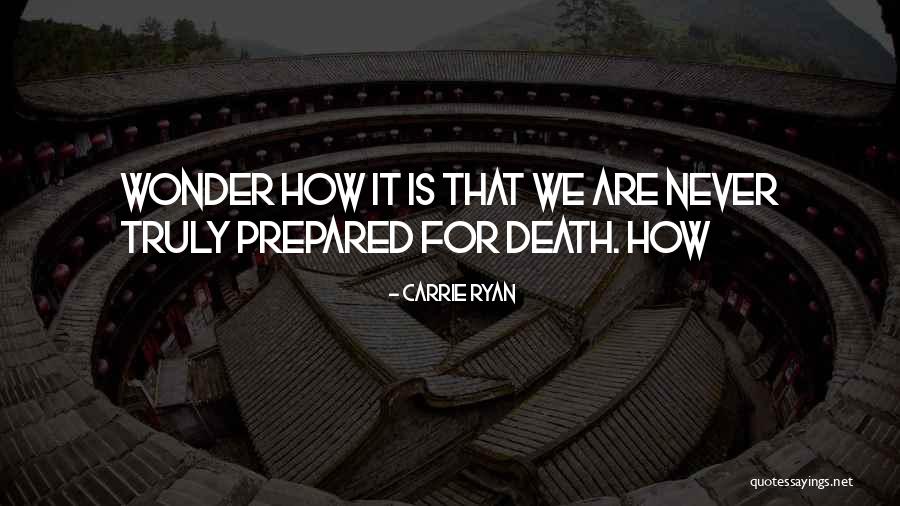 Bastiaan Res Quotes By Carrie Ryan Bastiaan Res Quotes By Carrie Ryan