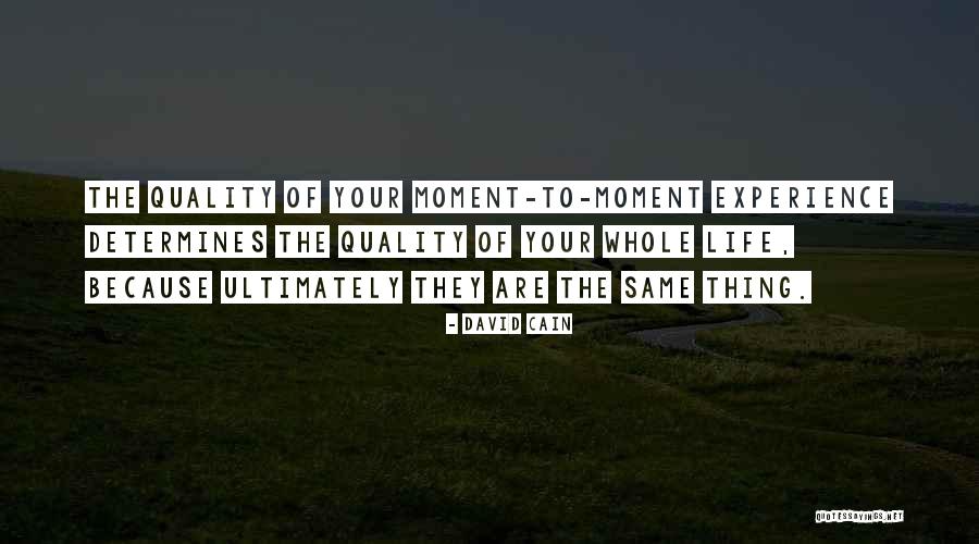 Bastiani Arms Quotes By David Cain Bastiani Arms Quotes By David Cain