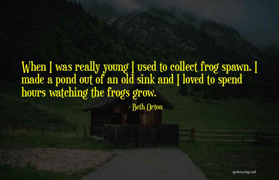 Bastida Artist Quotes By Beth Orton Bastida Artist Quotes By Beth Orton