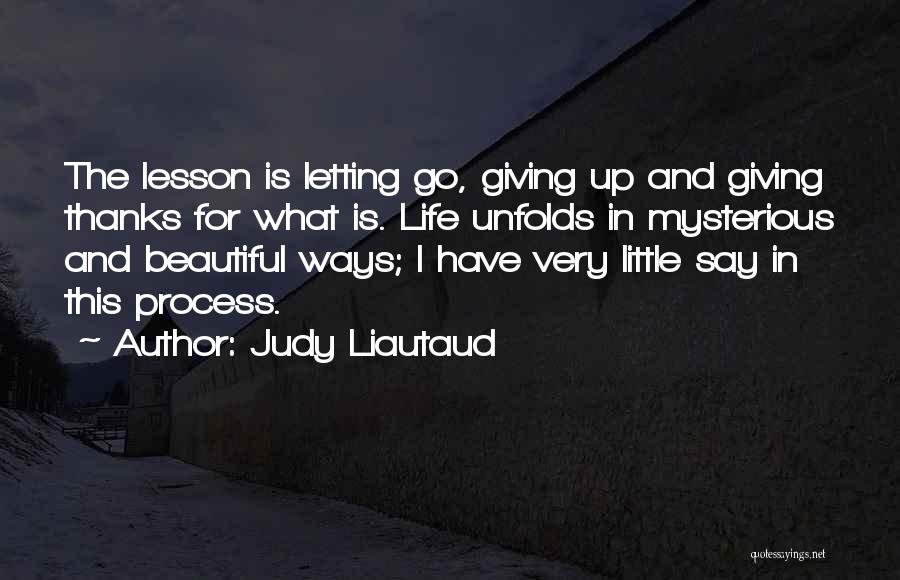 Bastilles Quotes By Judy Liautaud