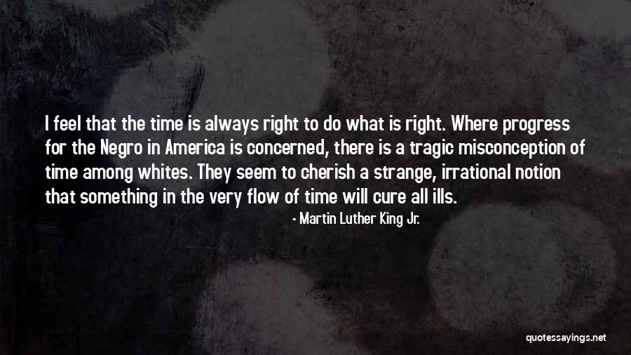 Bastiones Significado Quotes By Martin Luther King Jr. Bastiones Significado Quotes By Martin Luther King Jr.