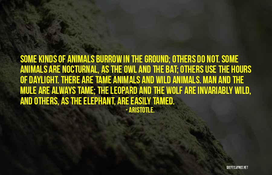 Bat Man Quotes By Aristotle. Bat Man Quotes By Aristotle.