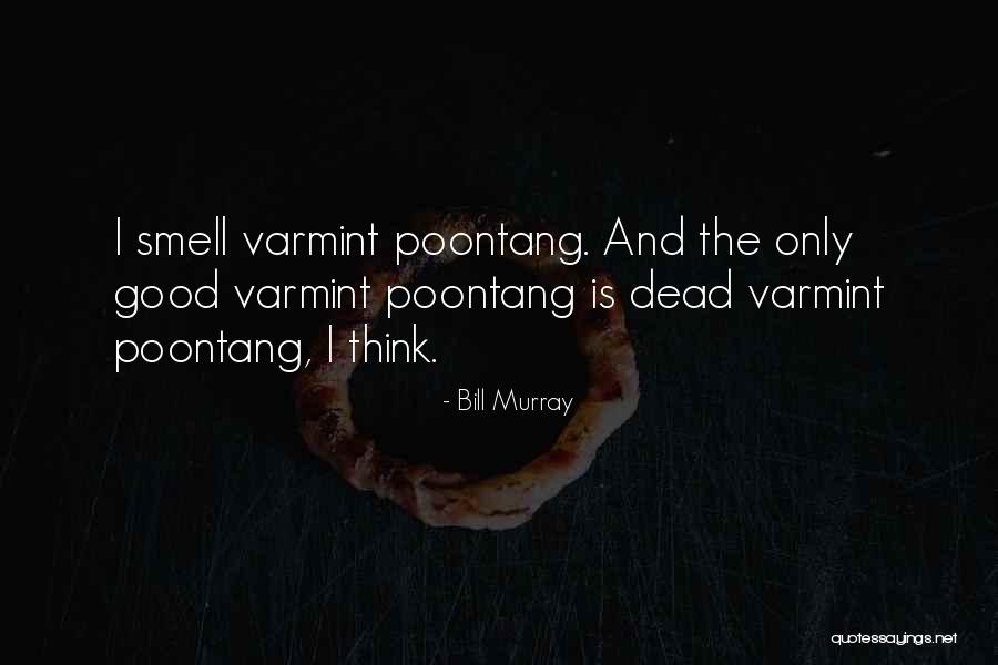 Batch File Arguments Remove Quotes By Bill Murray Batch File Arguments Remove Quotes By Bill Murray