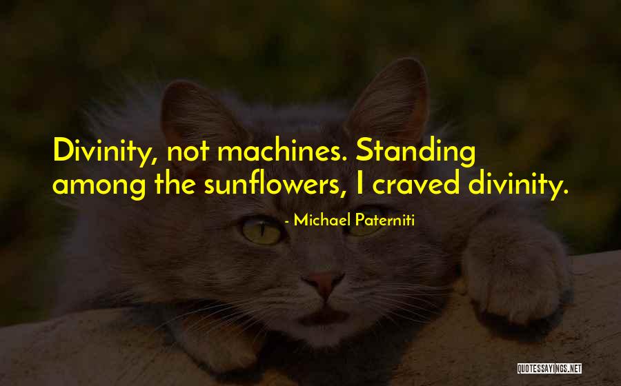 Batch For Loop Quotes By Michael Paterniti Batch For Loop Quotes By Michael Paterniti