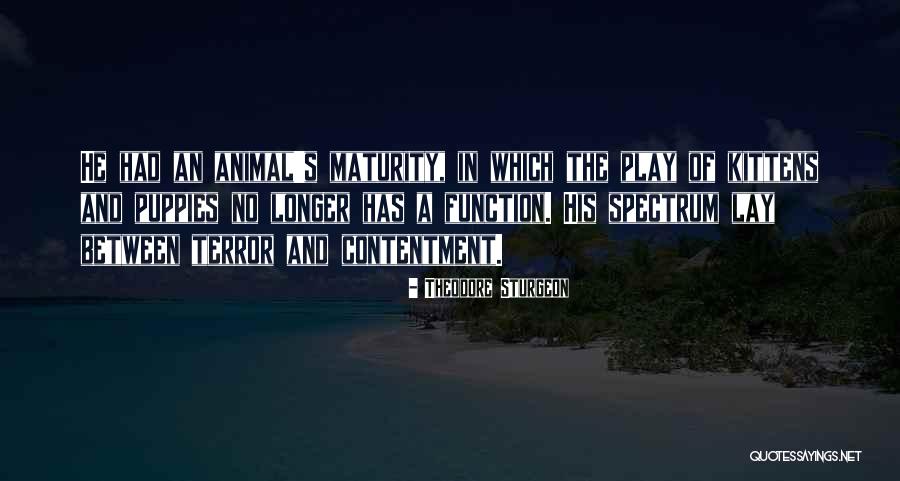 Batch Parameters Remove Quotes By Theodore Sturgeon Batch Parameters Remove Quotes By Theodore Sturgeon