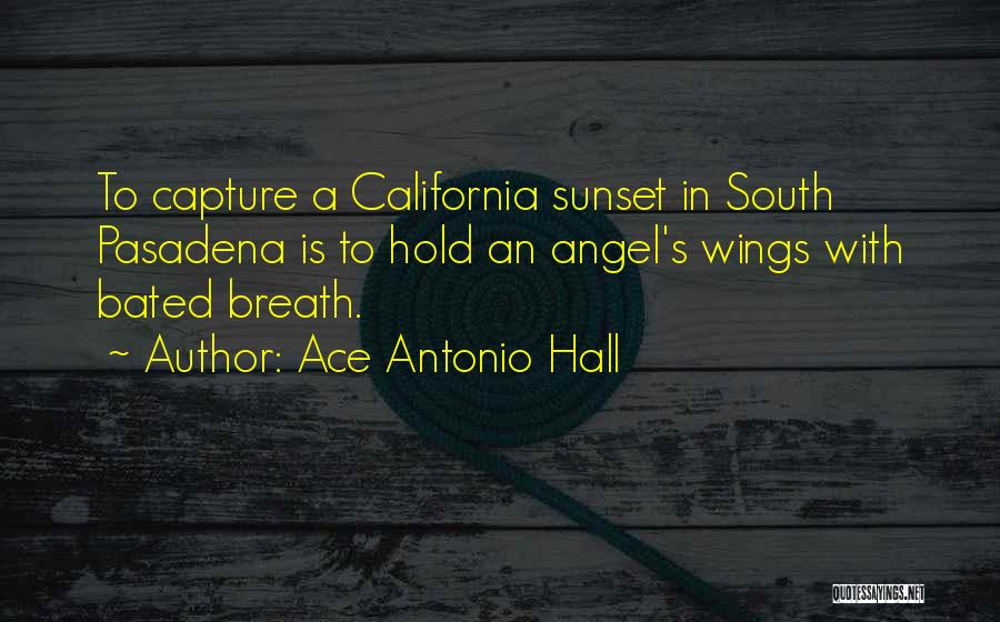 Bated Breath Quotes By Ace Antonio Hall