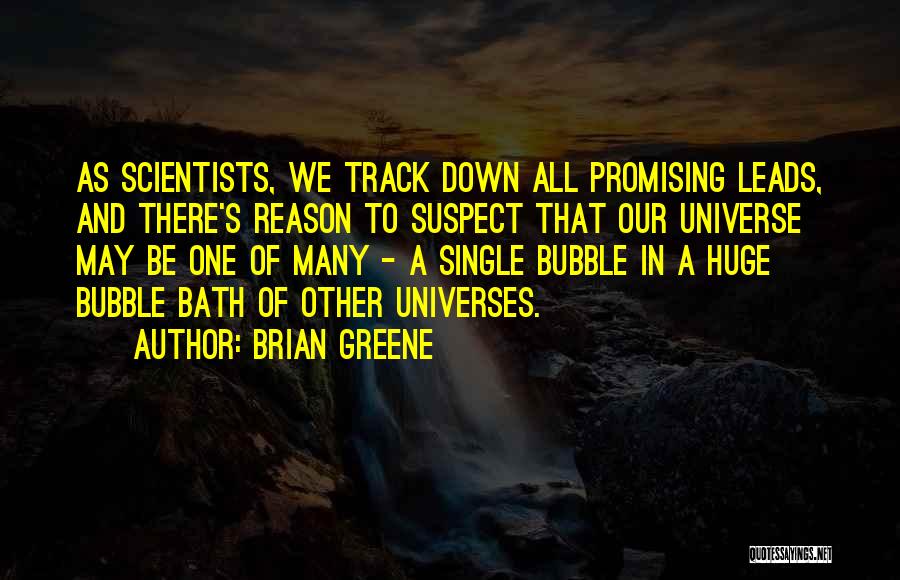 Bath Quotes By Brian Greene