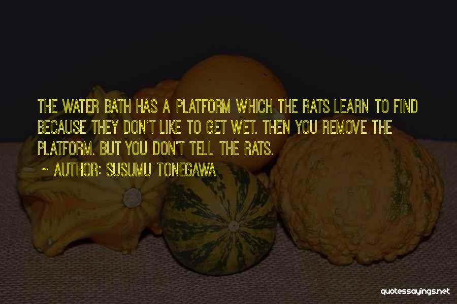 Bath Quotes By Susumu Tonegawa