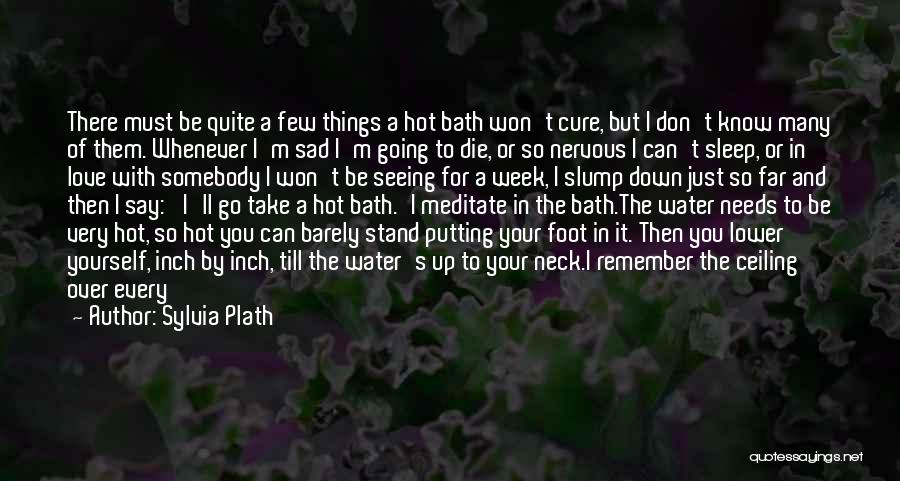 Bath Soap Quotes By Sylvia Plath