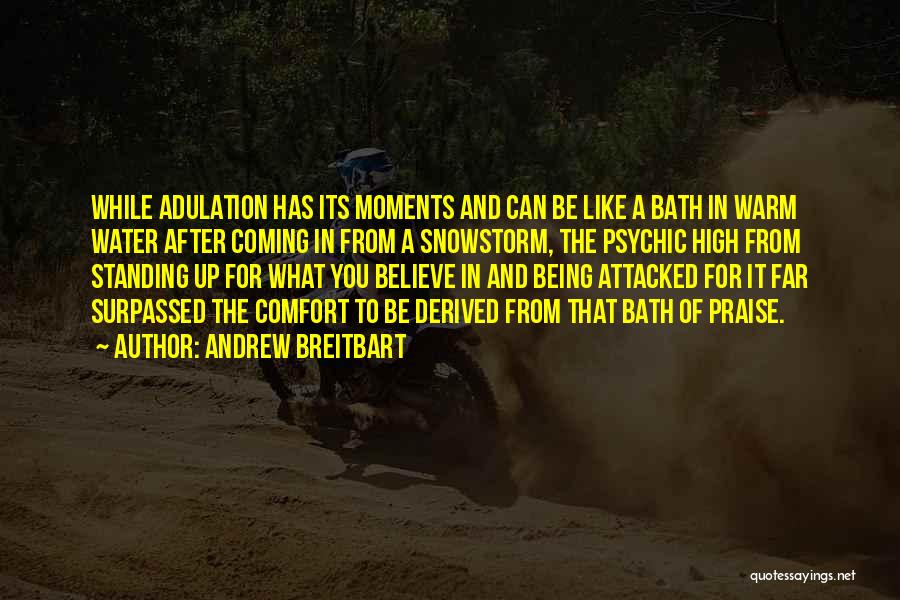 Bath Water Quotes By Andrew Breitbart