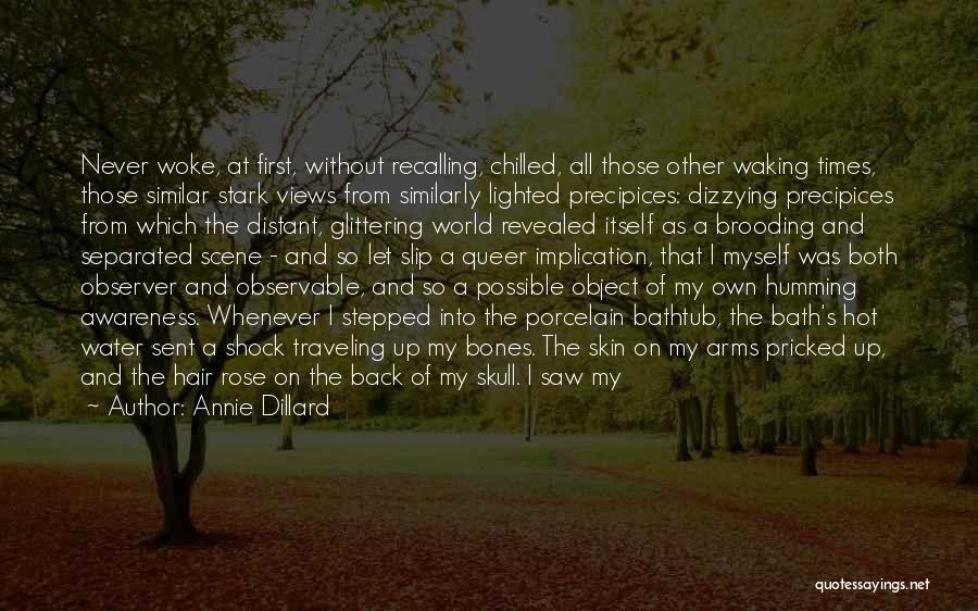 Bath Water Quotes By Annie Dillard Bath Water Quotes By Annie Dillard
