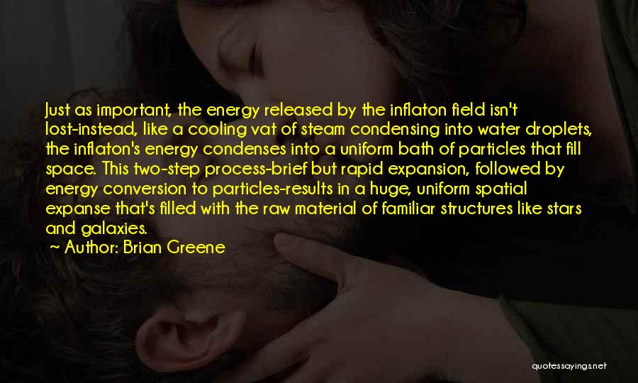 Bath Water Quotes By Brian Greene