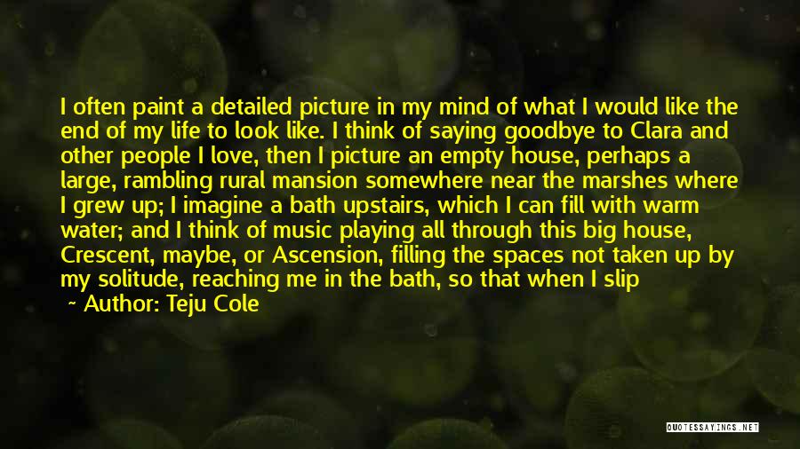 Bath Water Quotes By Teju Cole