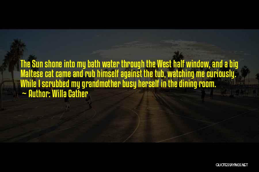 Bath Water Quotes By Willa Cather