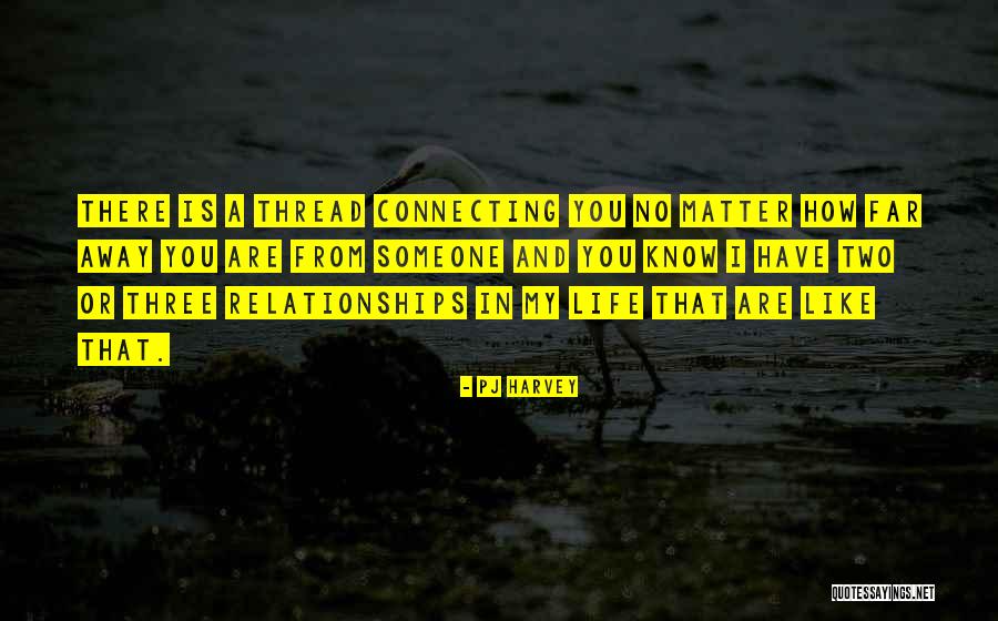 Bathhouses In Florida Quotes By PJ Harvey Bathhouses In Florida Quotes By PJ Harvey