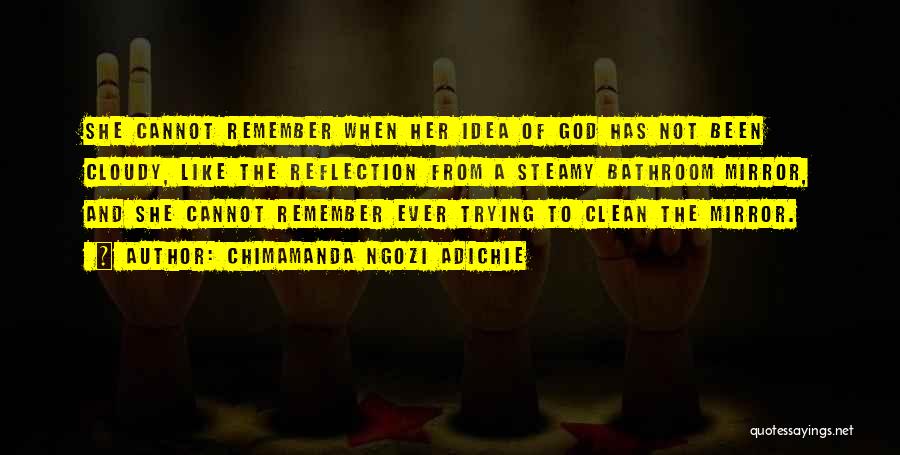 Bathroom Clean Up Quotes By Chimamanda Ngozi Adichie