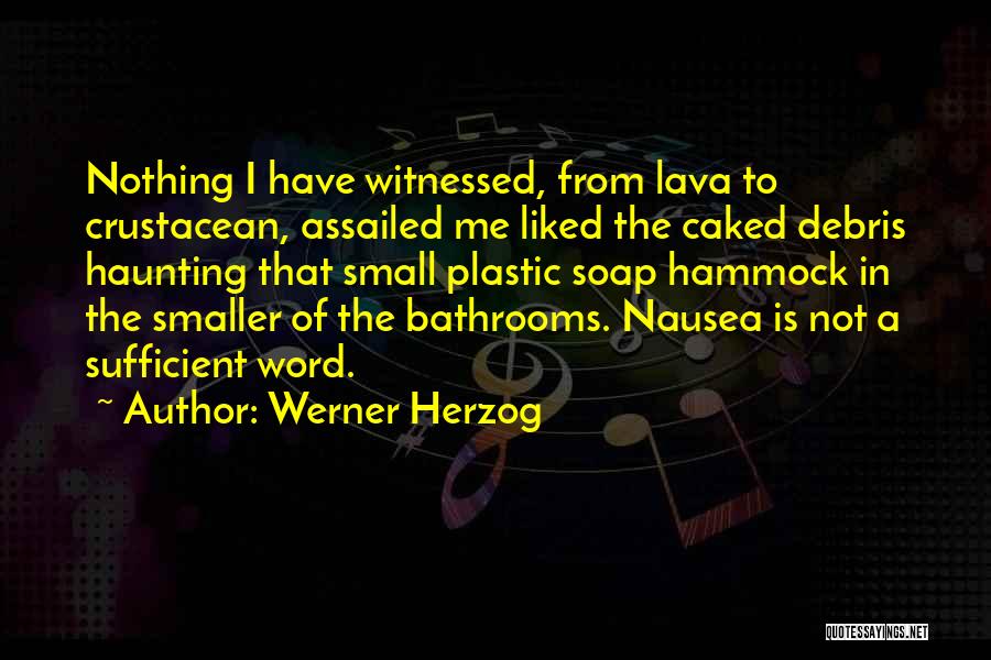 Bathrooms Quotes By Werner Herzog