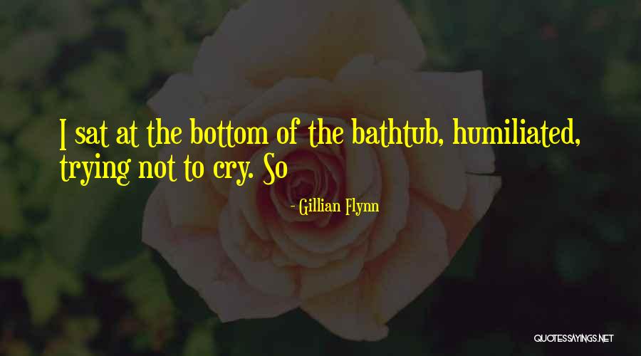 Bathtub Quotes By Gillian Flynn