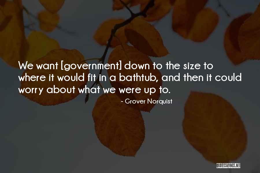 Bathtub Quotes By Grover Norquist