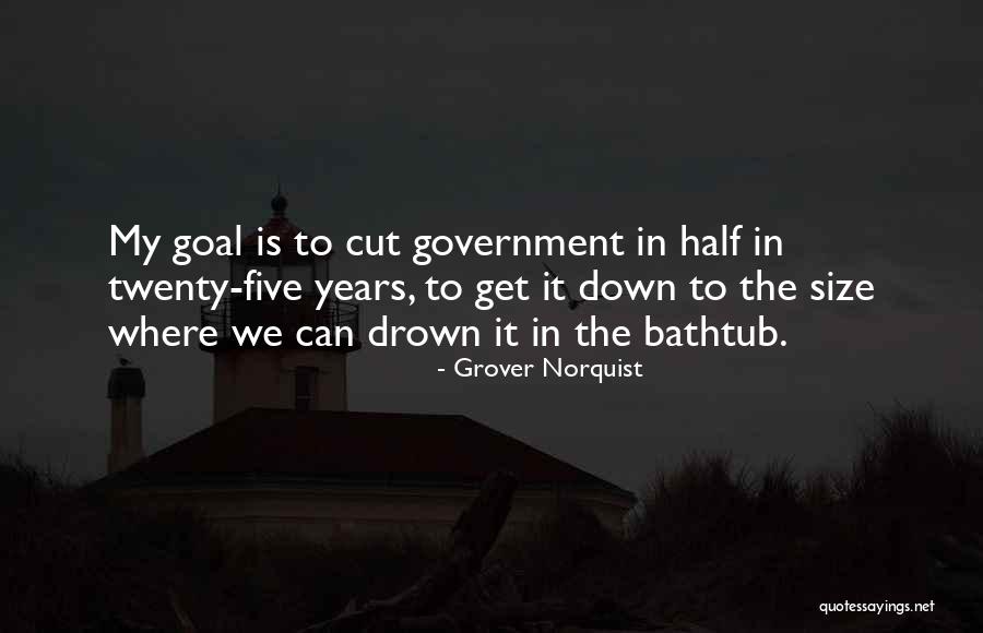 Bathtub Quotes By Grover Norquist