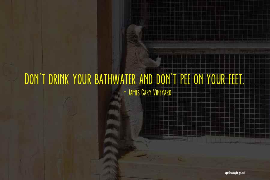 Bathwater Quotes By James Gary Vineyard