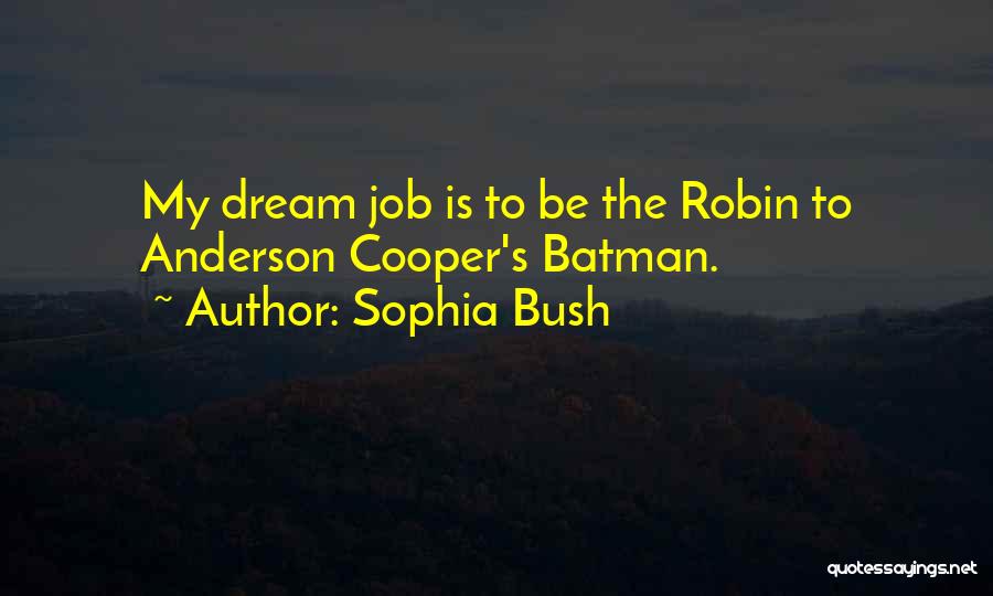 Batman And Robin Quotes By Sophia Bush