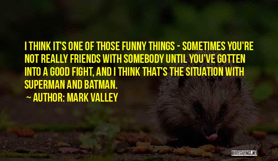 Batman Vs Superman Funny Quotes By Mark Valley