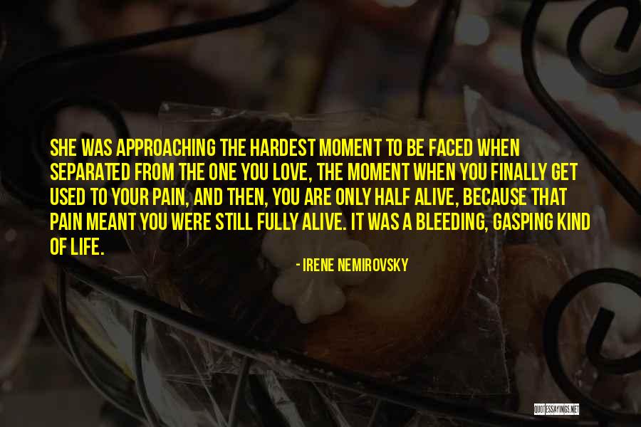 Batted Insulation Quotes By Irene Nemirovsky Batted Insulation Quotes By Irene Nemirovsky