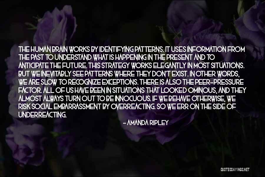 Batterers Counseling Quotes By Amanda Ripley Batterers Counseling Quotes By Amanda Ripley