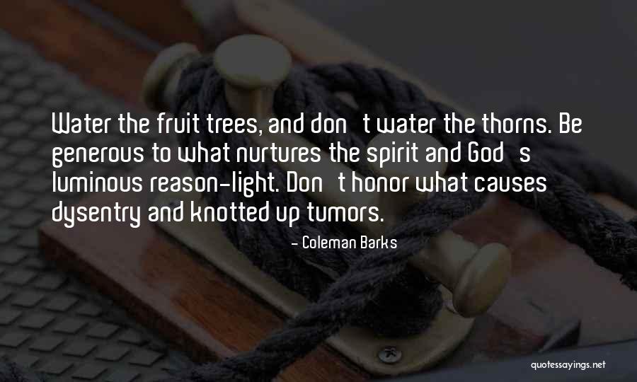 Batterers Most Often Explain Quotes By Coleman Barks Batterers Most Often Explain Quotes By Coleman Barks