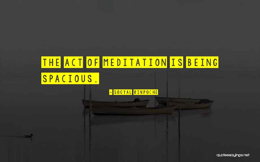 Battistella Seafood Quotes By Sogyal Rinpoche Battistella Seafood Quotes By Sogyal Rinpoche