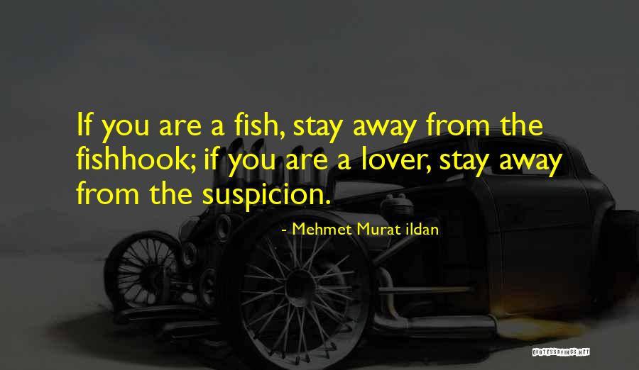 Battiti Cuore Quotes By Mehmet Murat Ildan Battiti Cuore Quotes By Mehmet Murat Ildan