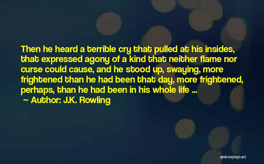 Battle Cry Quotes By J.K. Rowling