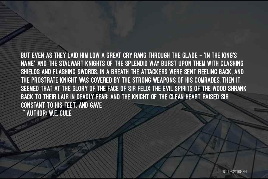 Battle Cry Quotes By W.E. Cule