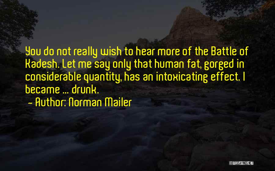 Battle Of Kadesh Quotes By Norman Mailer