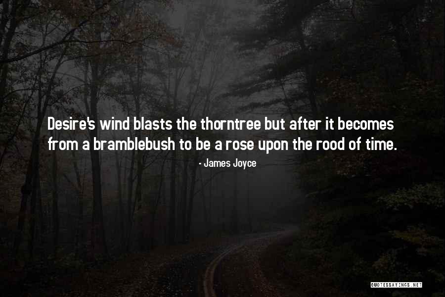 Battle Of Naseby Quotes By James Joyce Battle Of Naseby Quotes By James Joyce