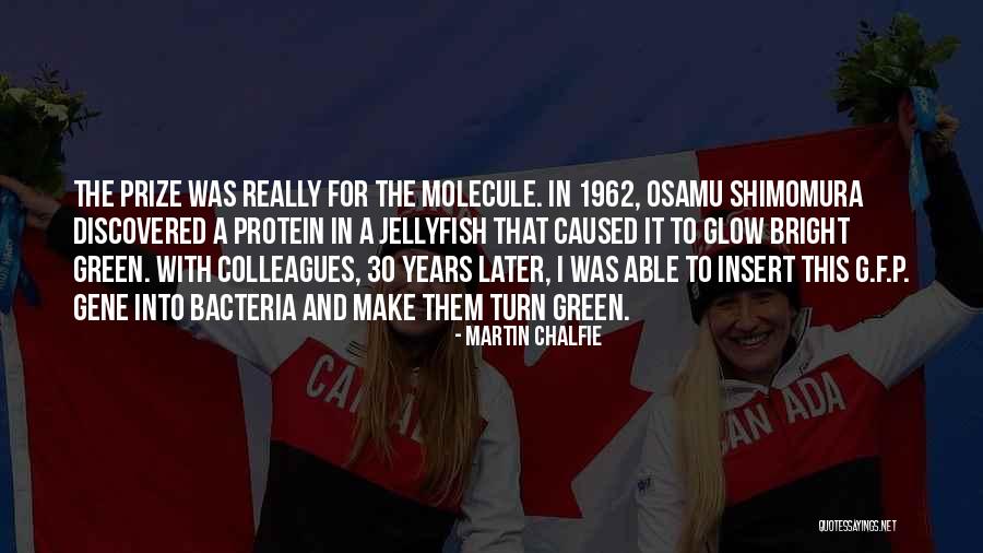 Battle Of Oriskany Quotes By Martin Chalfie Battle Of Oriskany Quotes By Martin Chalfie