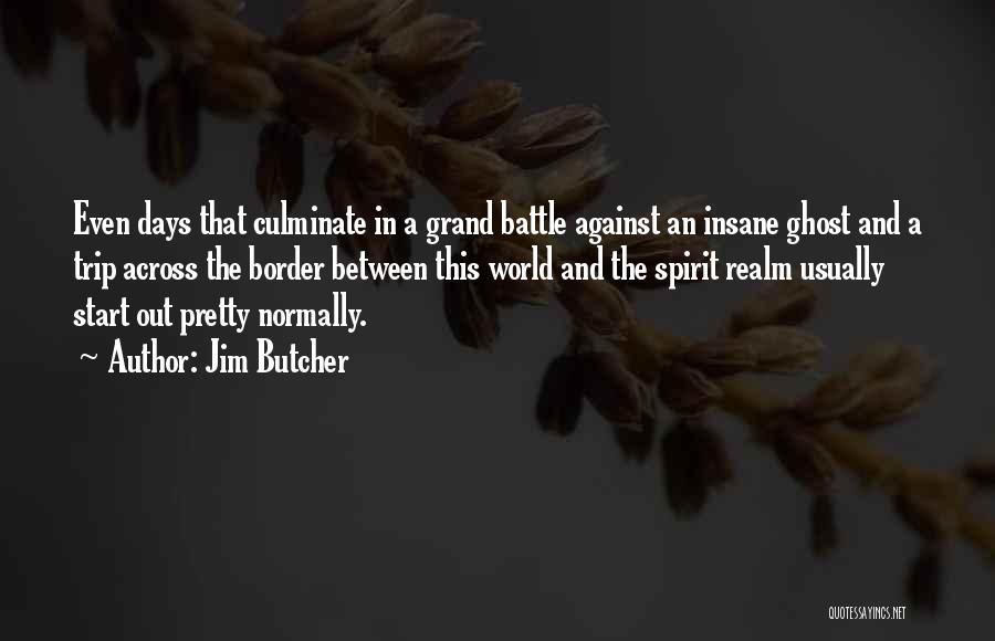 Battle Realm Quotes By Jim Butcher