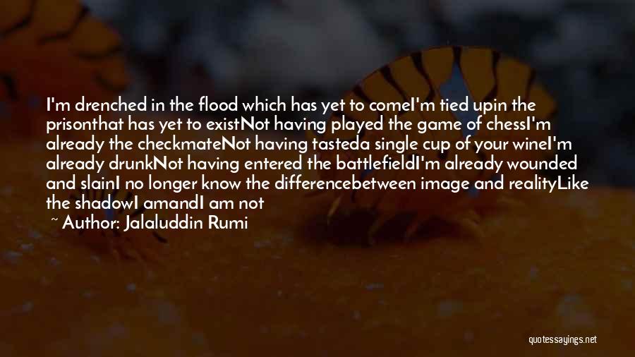 Battlefield Game Quotes By Jalaluddin Rumi