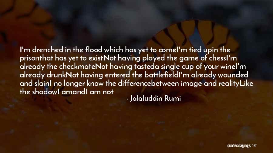 Battlefield Game Quotes By Jalaluddin Rumi