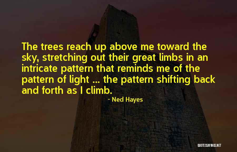 Battlers Sports Quotes By Ned Hayes