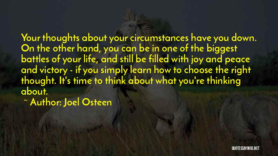 Battles With Yourself Quotes By Joel Osteen