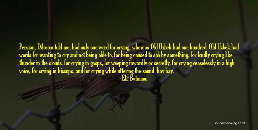 Batuman Elif Quotes By Elif Batuman Batuman Elif Quotes By Elif Batuman