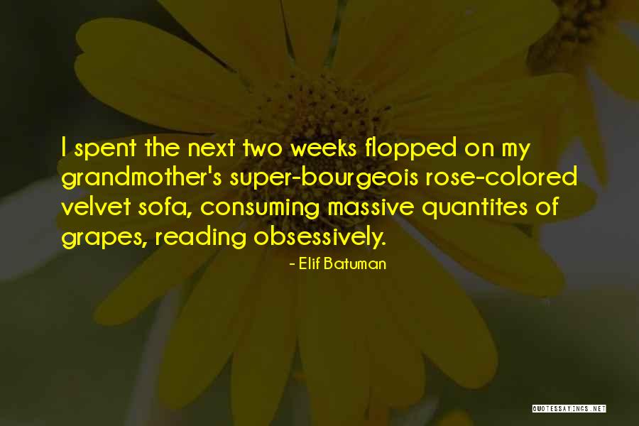 Batuman Elif Quotes By Elif Batuman Batuman Elif Quotes By Elif Batuman