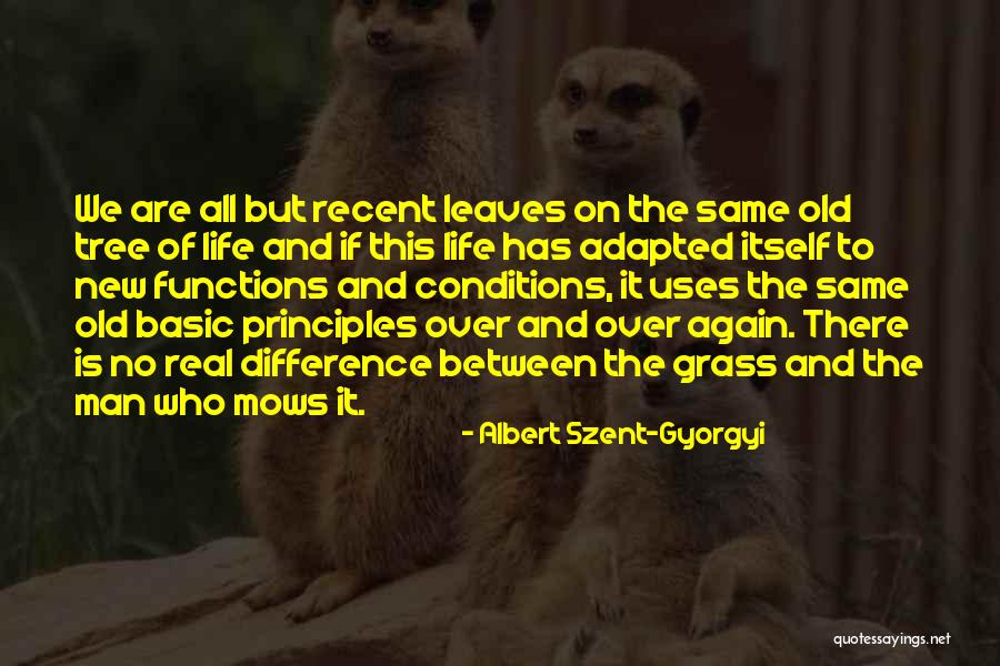 Batzorig Wearing Quotes By Albert Szent-Gyorgyi Batzorig Wearing Quotes By Albert Szent-Gyorgyi
