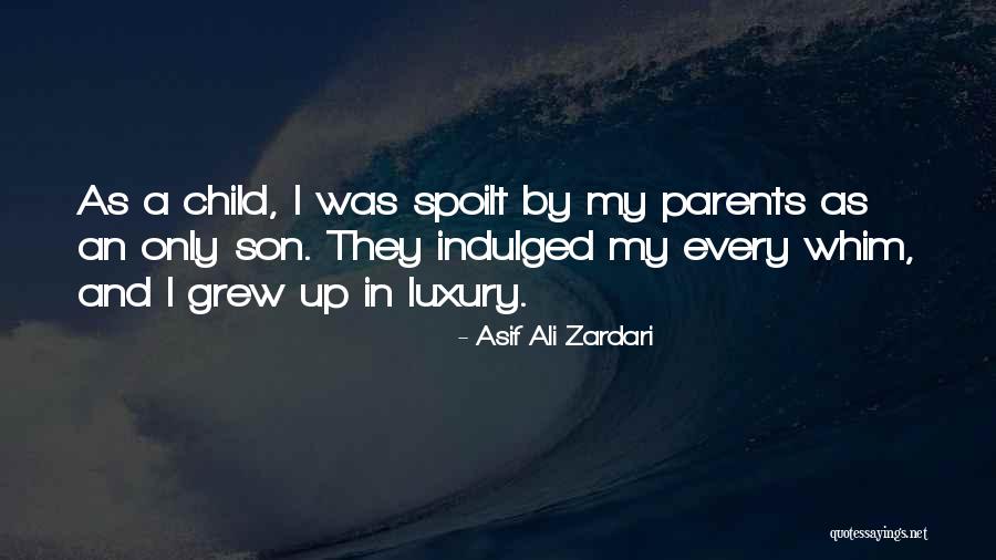 Baubo Figurines Quotes By Asif Ali Zardari Baubo Figurines Quotes By Asif Ali Zardari